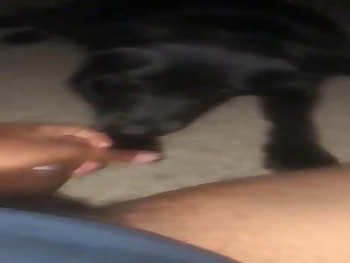 Enjoying A Nice Lick