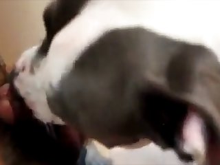 Fratboy Licked