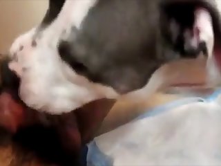 Fratboy Licked