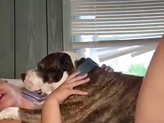 Ebony Teen With Dog
