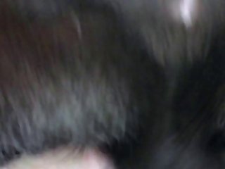 Daisy Dee Birth Of A Doglover