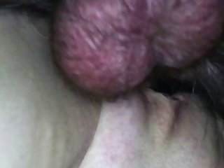 Daisy Dee Birth Of A Doglover