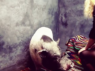 Seamless Flow Yasmin Stall Tale