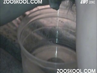 Znxx