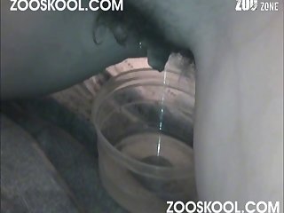 Znxx