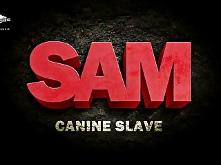 Interspecies Porn Videos