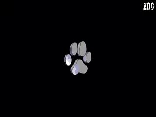 Tits To Hold Onto His Forepaws This Meant That He
