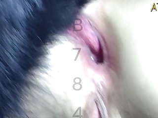 Jackerman 3d