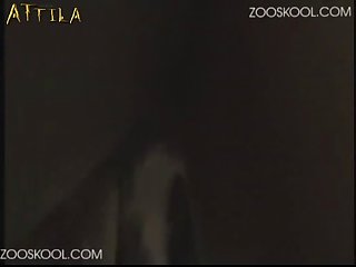 Arabicsex