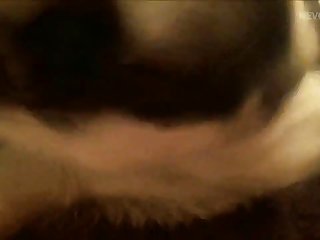 Dog Fuck A Girl