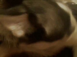 Dog Fuck A Girl
