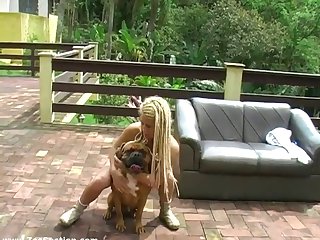 Dog Licking Owners Penis
