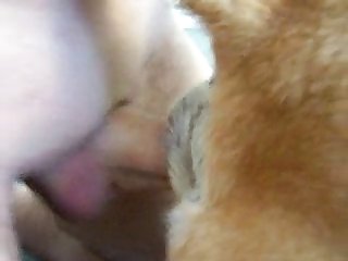 Xootube