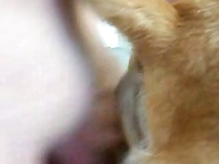 Xootube