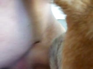 Xootube