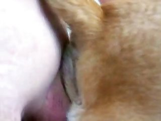 Xootube
