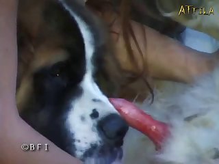 Female Bestiality