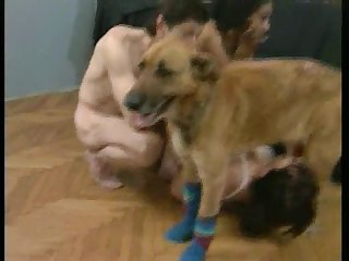 Girl Dog Porn