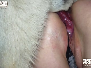Eating Dogs Pussy