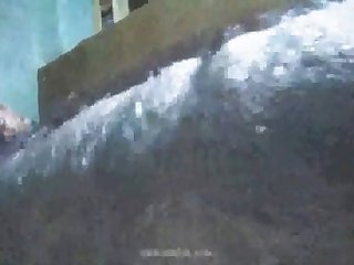 Xporn Hub