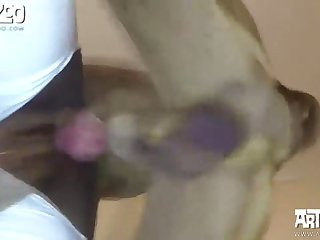 Horse Gives Blowjob