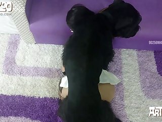 Bbw Fucked By Dog