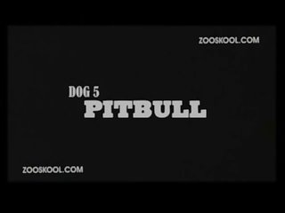 Girl Riding Dog Porn