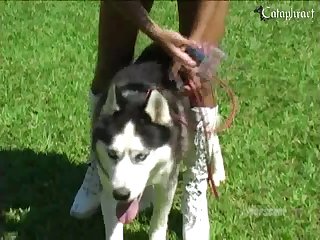 Ai Bestiality Porn Generator