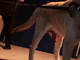 Bestiality Porn Hd