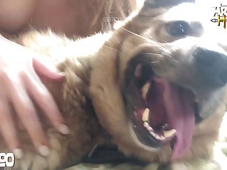 Young Girl Bestiality Porn
