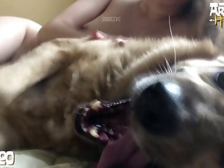 Young Girl Bestiality Porn