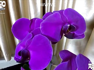 German Bestiality Porn