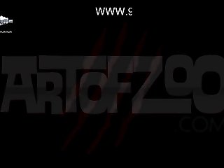 German Bestiality Porn