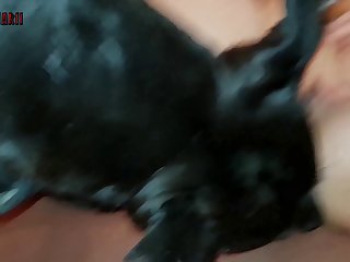 Animated Horse Bestiality Porn