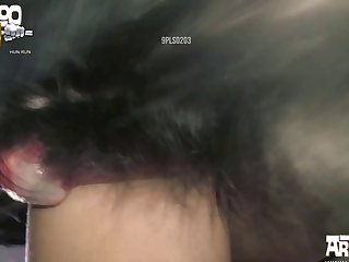 Pig Porn Bestiality