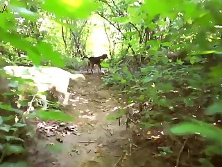Porn Bestiality Rape