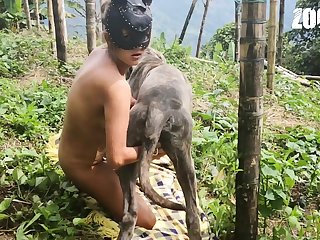 Bestiality Porn Horses