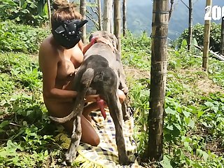 Bestiality Porn Horses
