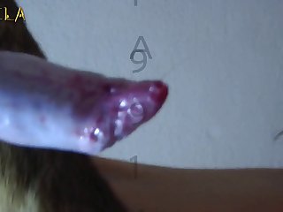 Teen Bestiality Webcam Porn