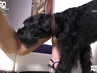 Bondage Bestiality Porn