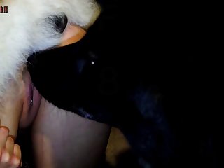 Bestiality Porn Orgasm