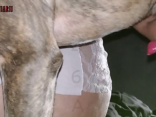Bestiality Android Porn Games