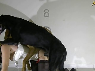 Onlyfans Bestiality Porn
