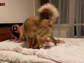 Bolt Bestiality Porn