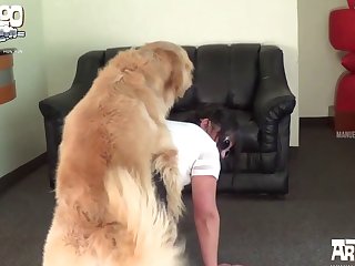 Horse Bestiality Porn Gif