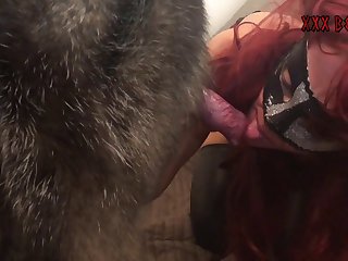 Animated Animal Anal Porn