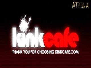 Free Animated Animal Porn Videos