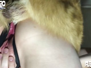 Animal Crossing Goldie Porn