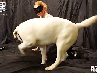 Bull Animal Gay Porn