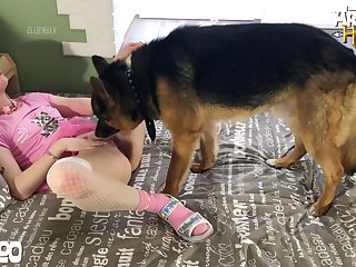 Animal Crossing Canela Porn